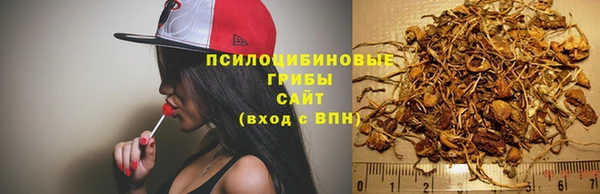мет Магас