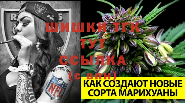 ПСИЛОЦИБИНОВЫЕ ГРИБЫ Майский
