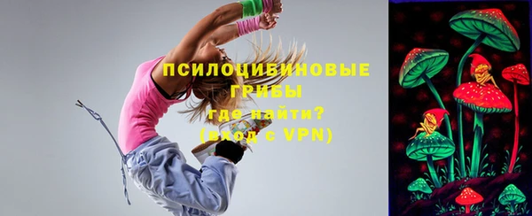 ПСИЛОЦИБИНОВЫЕ ГРИБЫ Майский