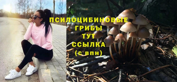 мет Магас