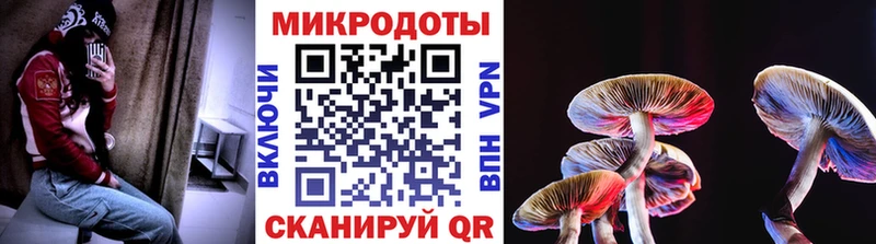 купить   МЕГА вход  Псилоцибиновые грибы Cubensis  Яхрома 